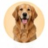 DOGS